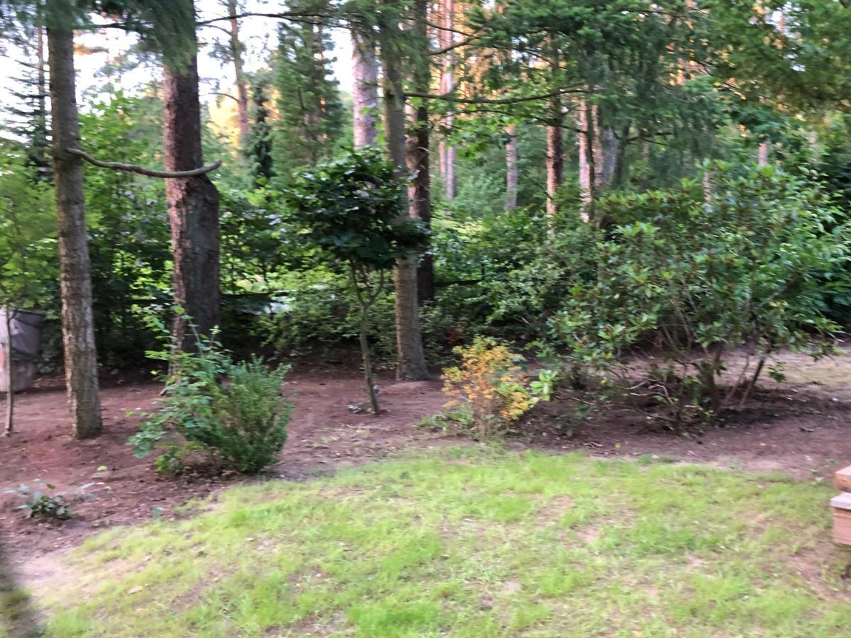 Ferienhaus Reetdach 1300Qm Privatgrundstueck Bootssteg Sauna Templin Luebbesee Uckermark Erholung Pur Seenplatte Petersdorf  Екстериор снимка