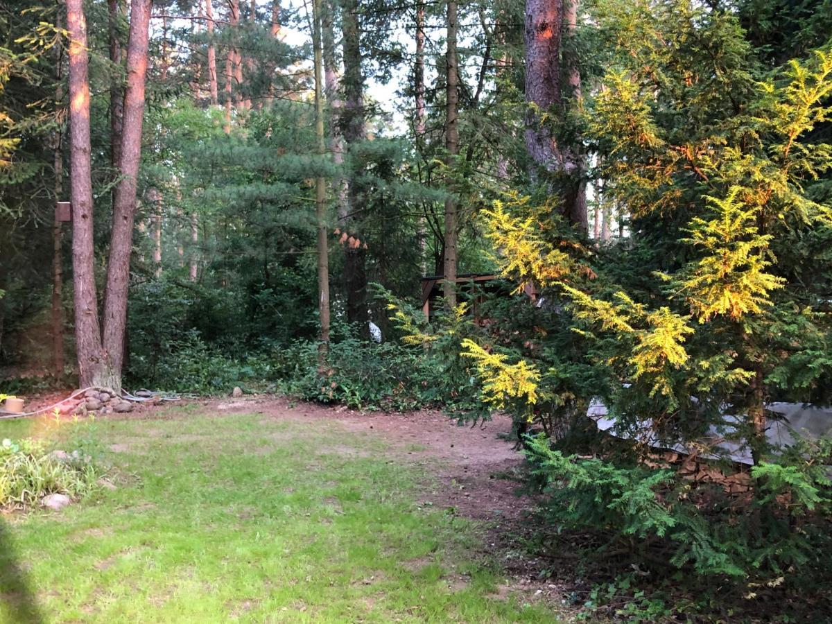 Ferienhaus Reetdach 1300Qm Privatgrundstueck Bootssteg Sauna Templin Luebbesee Uckermark Erholung Pur Seenplatte Petersdorf  Екстериор снимка